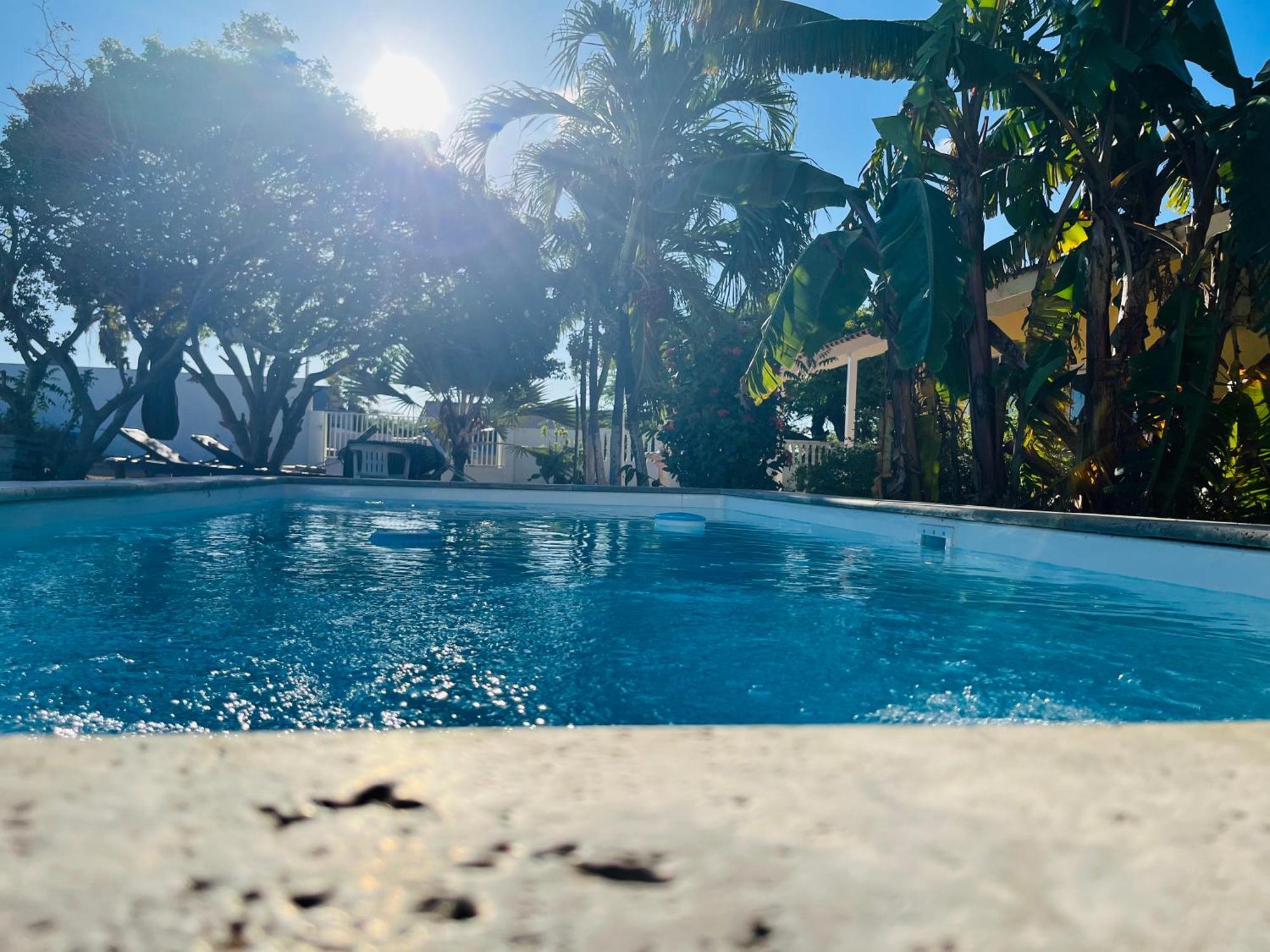 Bon Bini Kokolishi Otel Willemstad Dış mekan fotoğraf